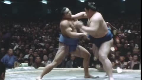 Chiyonofuji' 千代の富士 1981年初場所全取組