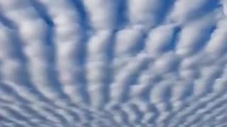 Learn to think for yourself