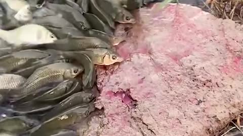 Easy scent hack to catch more fish!