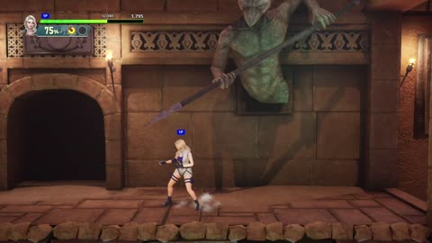 Double Dragon Revive stage 8