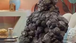 😂✨ Zeke's Magical Wish Comes True! | FunFM