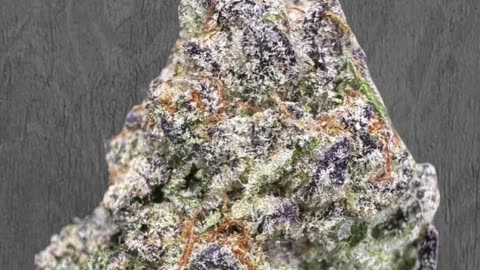 Top Hemp Product Picks for 2026 | Wholesale & White Label