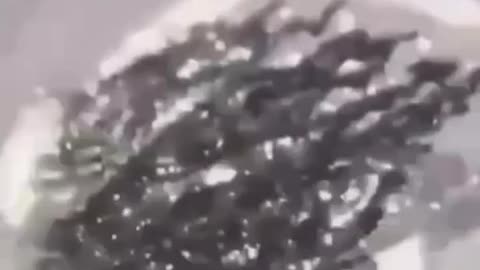 Nano Robots Performing TASKS