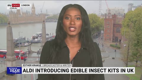 (Sky News- 2022) Aldi UK considers selling edible insects amid cost of living crisis