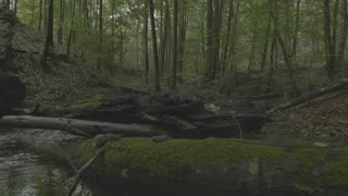 Forest Stream White Noise for Unbroken Focus | Natural Soundscape for Deep Work & Study