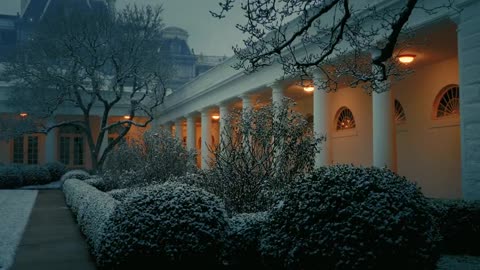 The White House looks beautiful & peaceful right now.