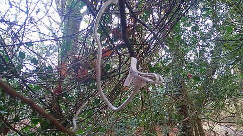 2nd , found lost item in 2 days, left my phone holder in a tree (, #दुराव,#डेरा