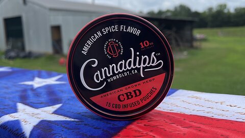 Cannadips American Spice (CBD Pouch) Review