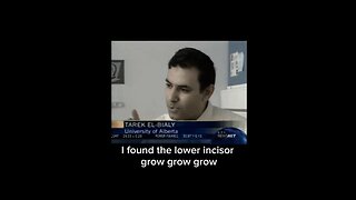 Regrowing Teeth. "If the root is broken, it can now be fixed," said Dr Tarak El-Bialy ~ by Culivate Elevate