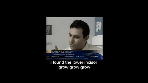 Regrowing Teeth. "If the root is broken, it can now be fixed," said Dr Tarak El-Bialy ~ by Culivate Elevate