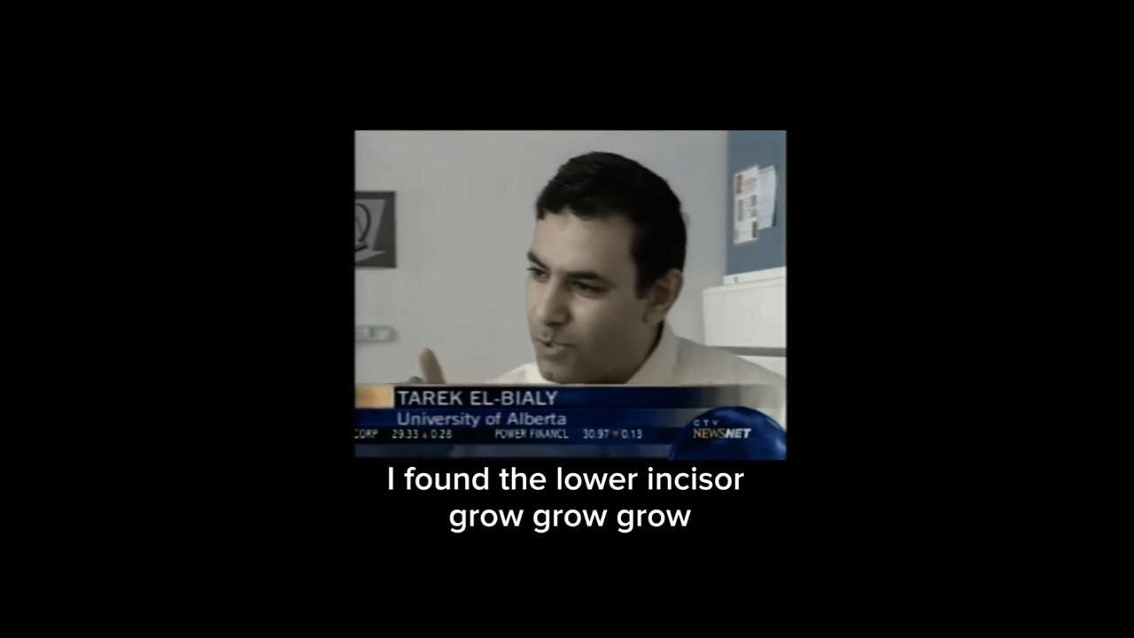 Regrowing Teeth. "If the root is broken, it can now be fixed," said Dr Tarak El-Bialy ~ by Culivate Elevate