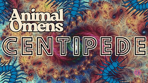SMS #152 Animal Omens: Centipede