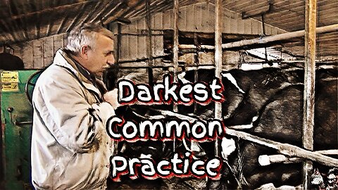 The Darkest Common Practice In The Dairy Industry