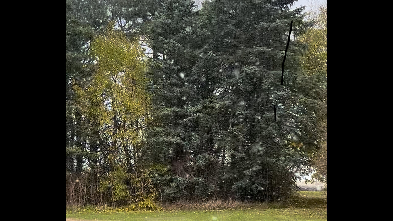 First Snow ❄️ This Season