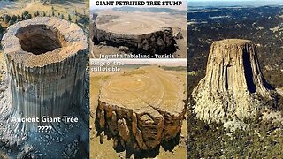 Giant Trees on God's Flat Earth