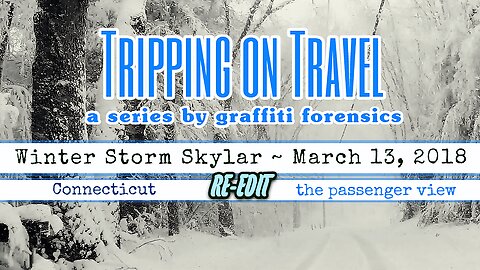 Tripping on Travel: Skylar RE-EDIT, passenger view