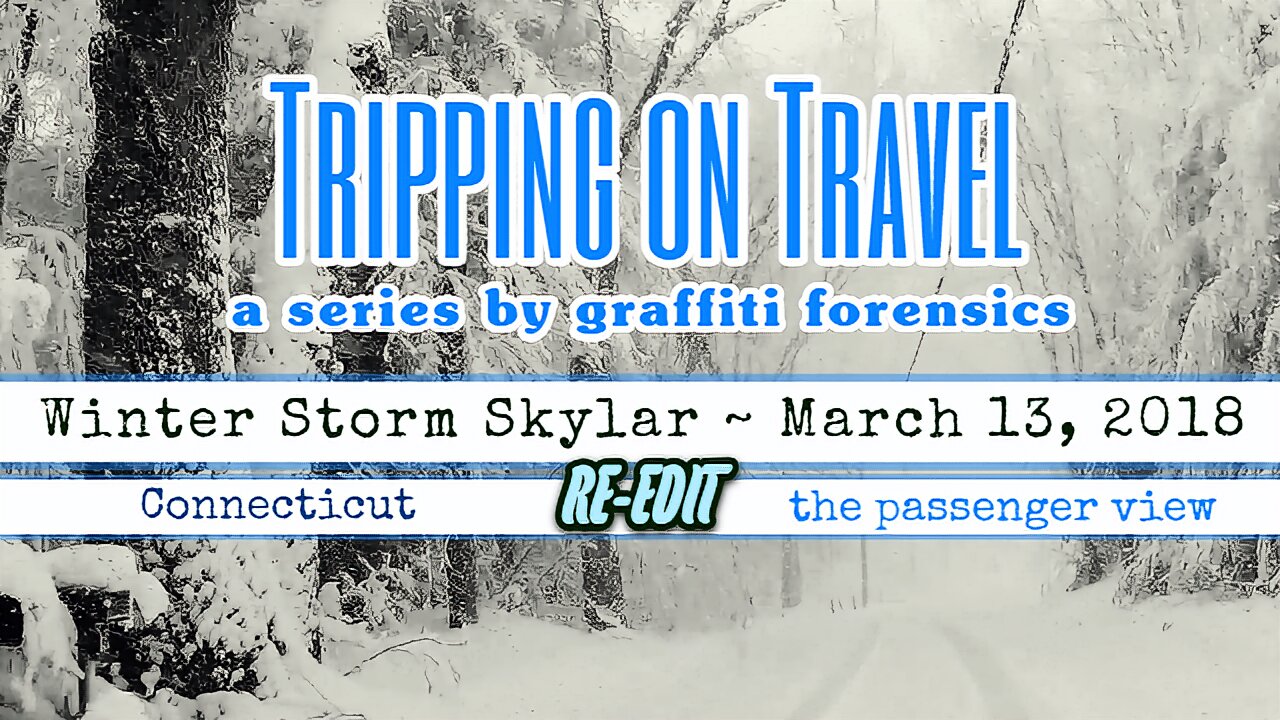 Tripping on Travel: Skylar RE-EDIT, passenger view