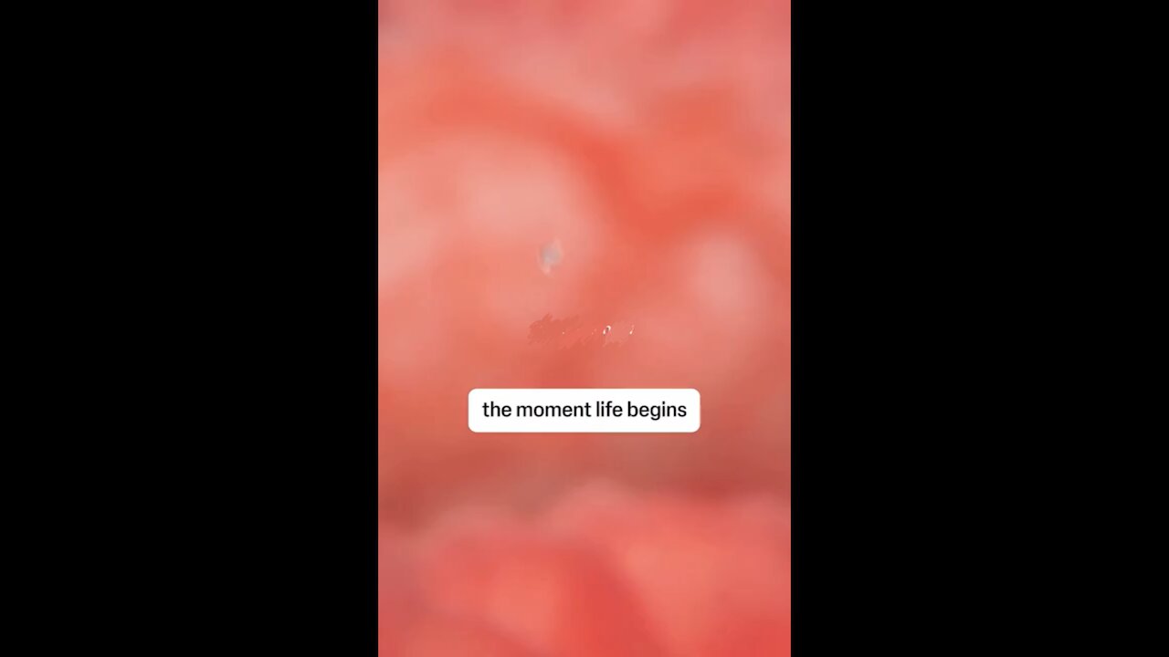 The Very Moment That Life Begins