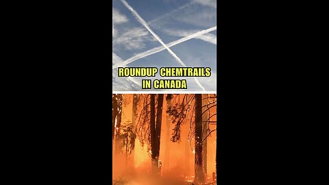 🔥 Canada’s Fire Crisis: Gaslighting at Its Finest 🔥