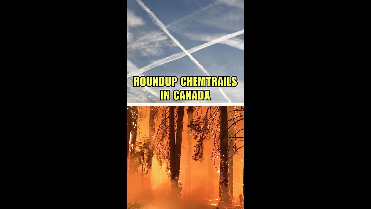 🔥 Canada’s Fire Crisis: Gaslighting at Its Finest 🔥