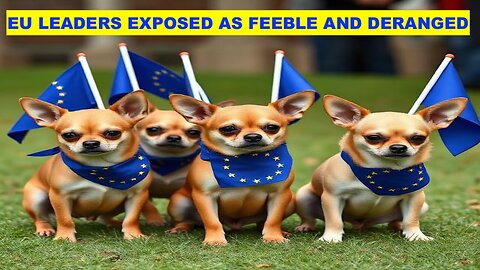 UK FALSE FLAGS INCOMING TO STOP PEACE NEGOTIATIONS - EU LEADERS EXPOSED AS FEEBLE AND DERANGED