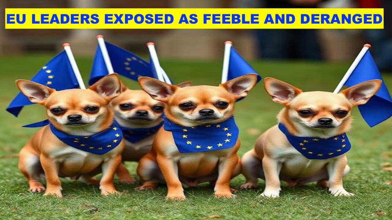 UK FALSE FLAGS INCOMING TO STOP PEACE NEGOTIATIONS - EU LEADERS EXPOSED AS FEEBLE AND DERANGED