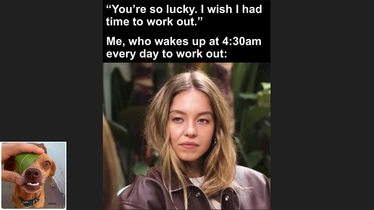 Memes That Will 99.0464% Make You Laugh. (e688)