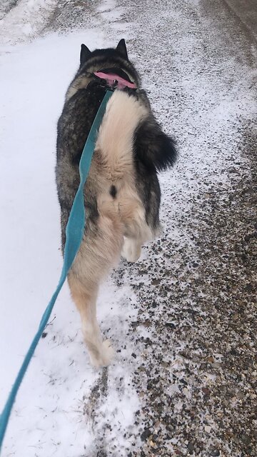 Thursday March 6, The one deceiving the whole world