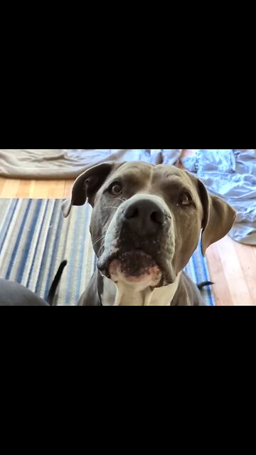 HOW TO WALK WITH GOD - DAILY DEVOTIONAL ❤️