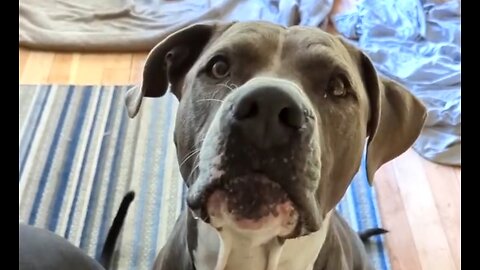 HOW TO WALK WITH GOD - DAILY DEVOTIONAL ❤️