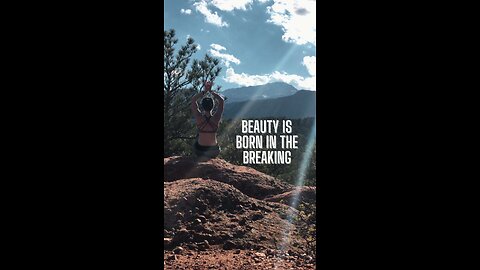 What the Lotus Teaches Us 🪷