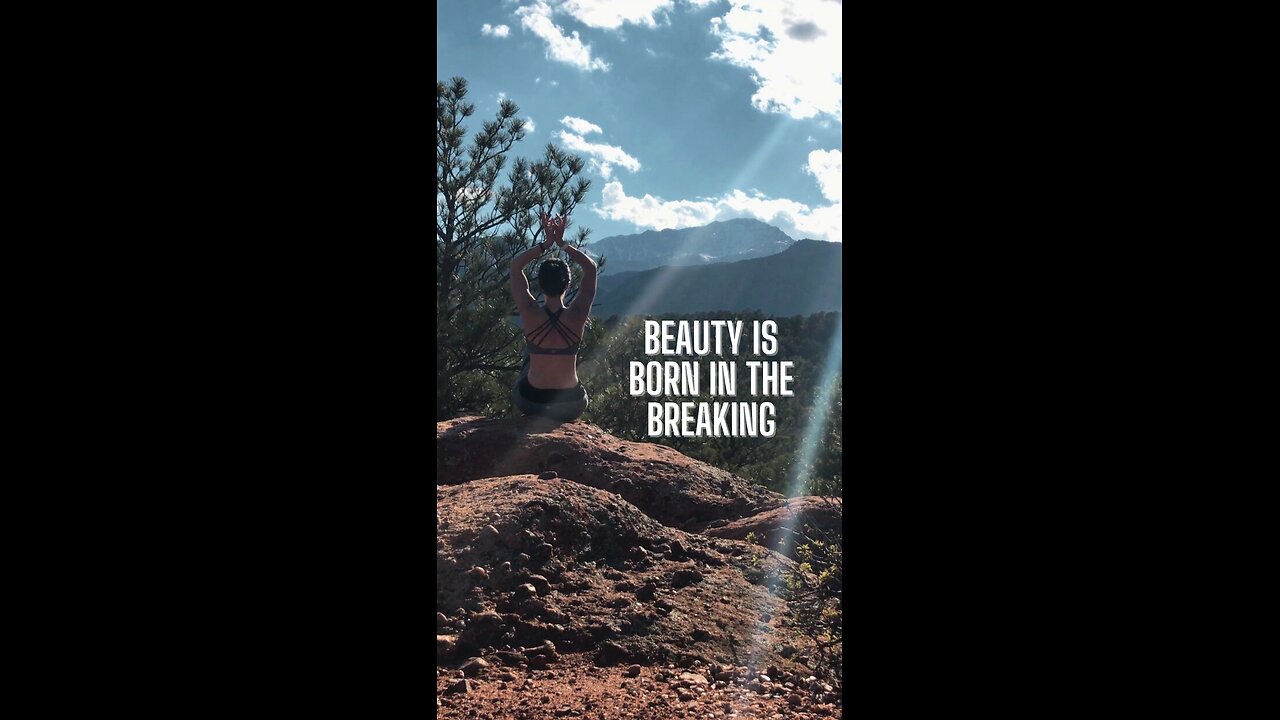 What the Lotus Teaches Us 🪷