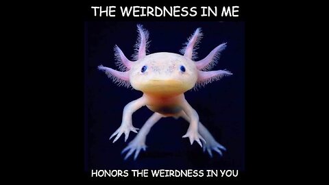 24/7 Flat Earth Discord !LIVE! - Open discussion - 1/13/26 Ep. 1