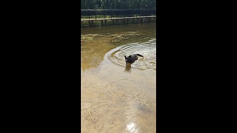 Shani loves water