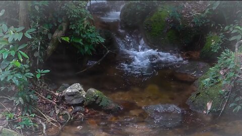 🍃 Peaceful Stream with Mossy Rocks | Nature ASMR for Stress Relief