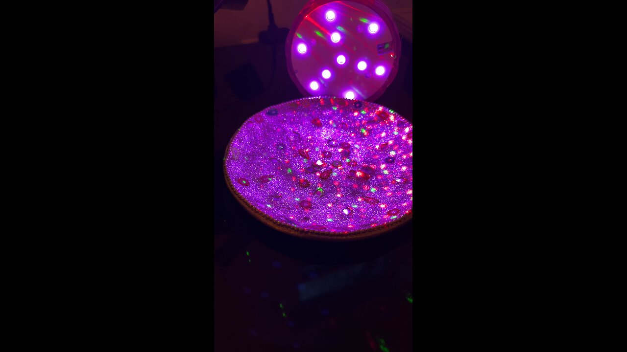 Ants on thee cake