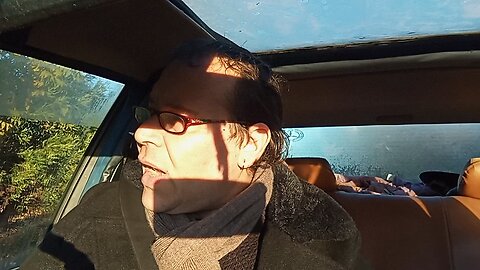 PALADINI DELLA GIUSTIZIA...🤣🤣