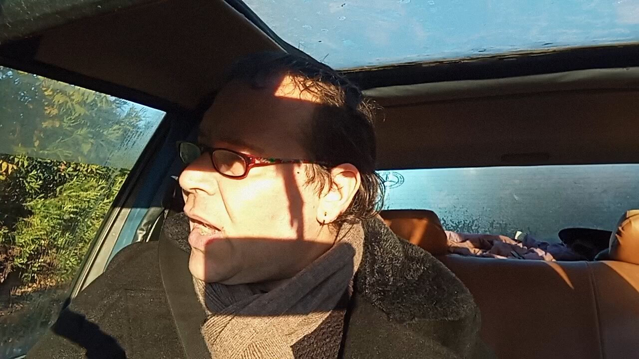 PALADINI DELLA GIUSTIZIA...🤣🤣