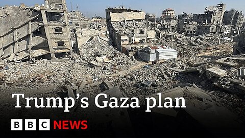 Donald Trump's plan for Gaza backed by UN Security Council | BBC News