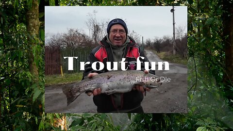 Голяма пъстърва на Дупница - Big trout at Dupnica