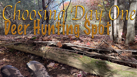 Choosing Day One Deer Hunting Spot