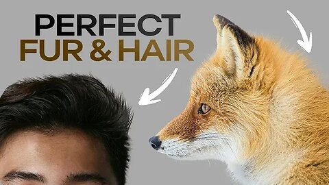 Mastering Fur and Hair Brushes in Photoshop for Flawless Cut-Outs