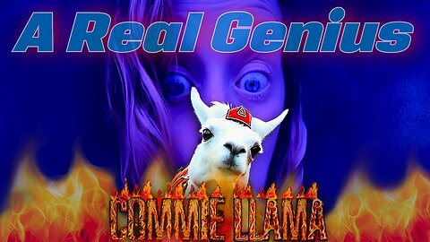 A Real Genius: The 'Just Register Republican' Lady Meets the Comme Llama