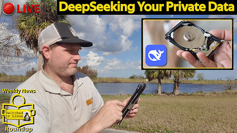 DeepSeeking Your Private Data