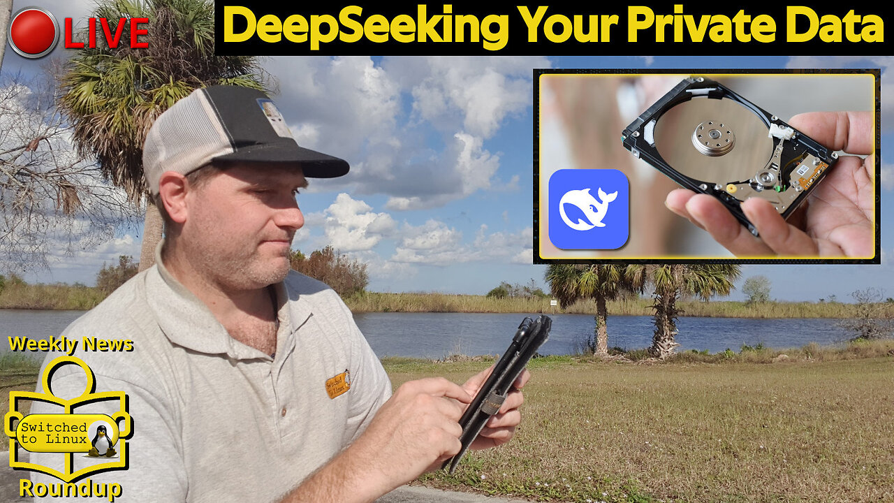 DeepSeeking Your Private Data