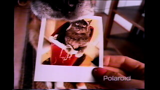 May 18, 1996 - A Dog, A Cat & A Polaroid