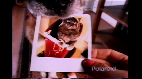 May 18, 1996 - A Dog, A Cat & A Polaroid