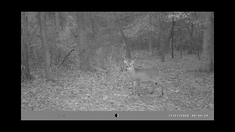 Trail Cam Tuesday, December 2, 2025.