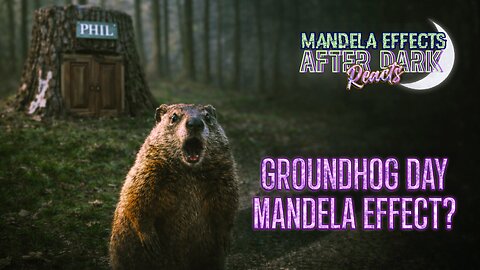 #mandelaeffects AFTER DARK REACTS | Sub Submissions | GROUNDHOG DAY ME, Project Anchor + More!
