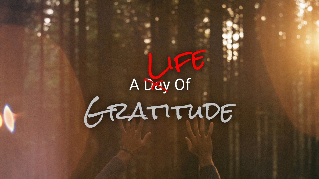 A Life Of Gratitude